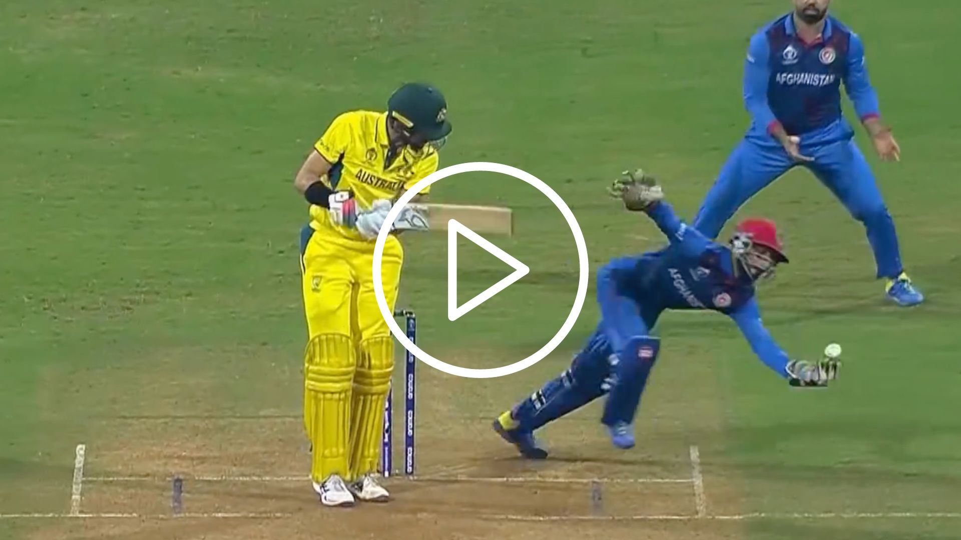 [Watch] Ikram’s Sensational Juggling Catch Sends Mitchell Starc Back To The Hut